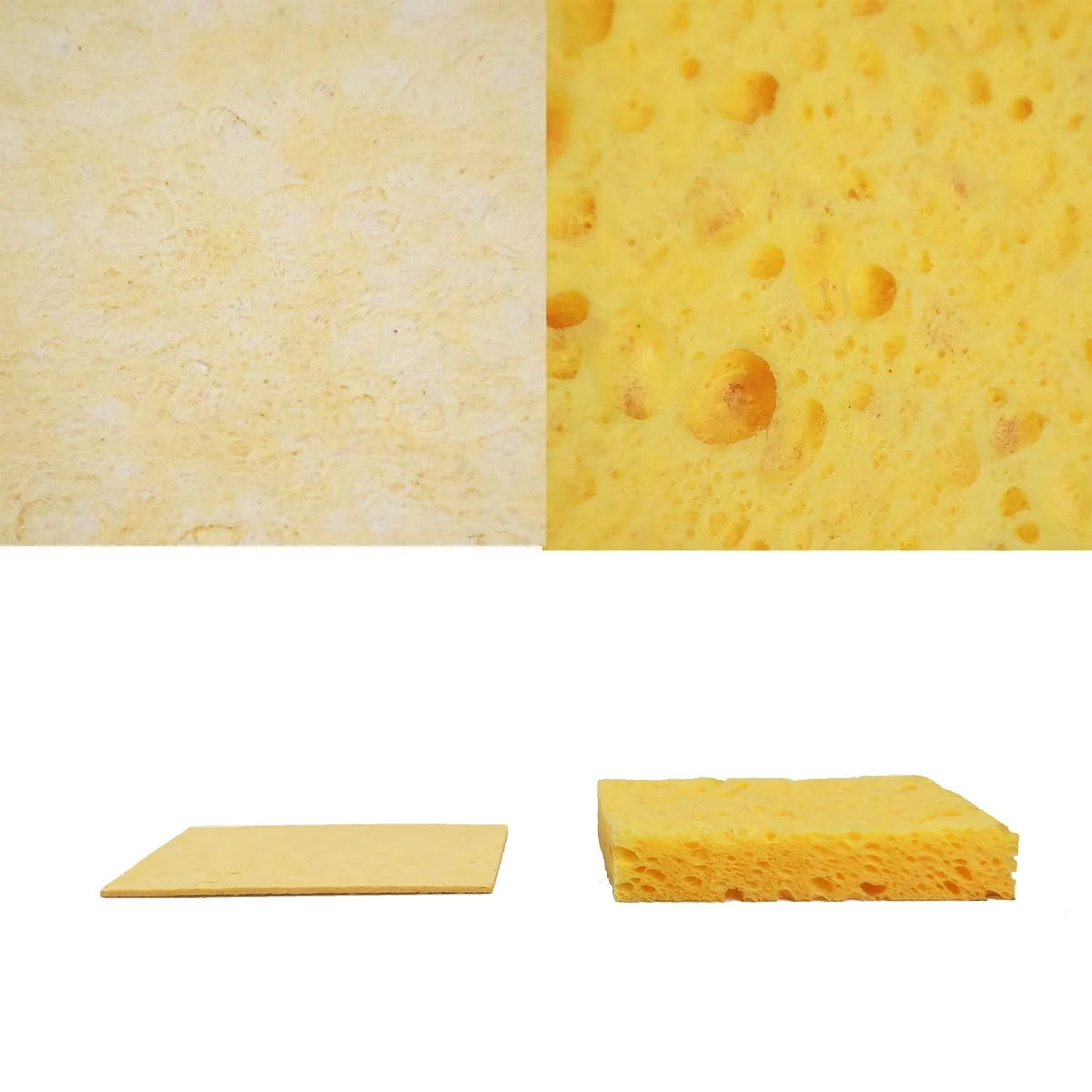 
biodegradable compressed cellulose sponge for bacterial culture 