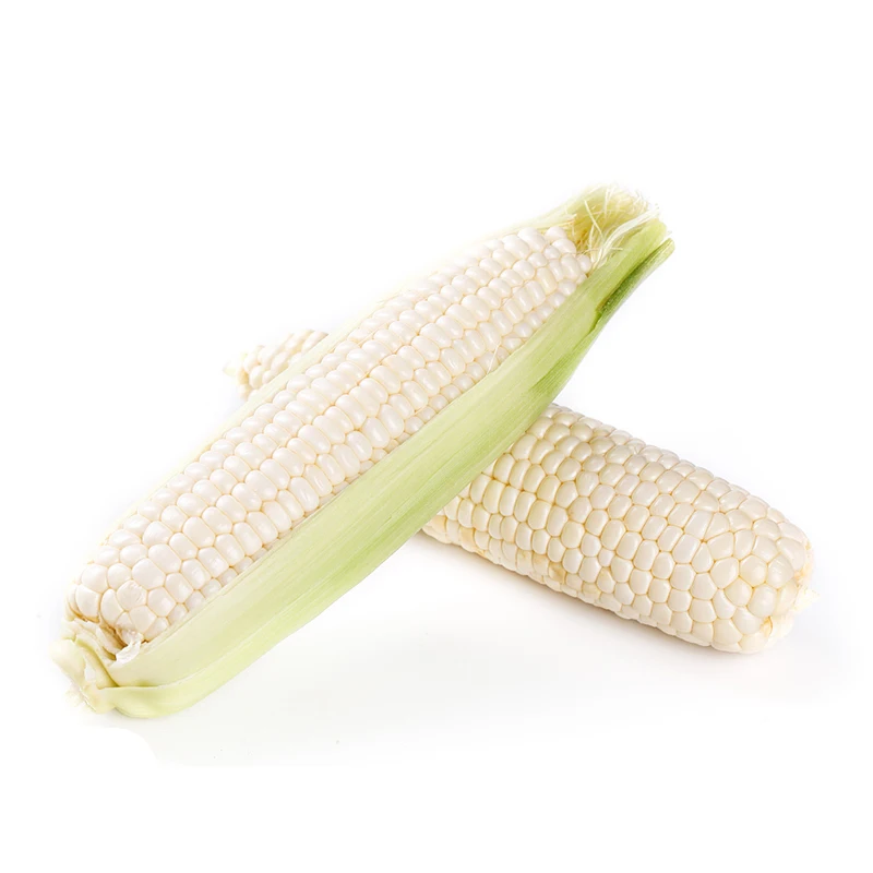 Best selling supplier factory frozen corn low price corn snacks  popular product white corn