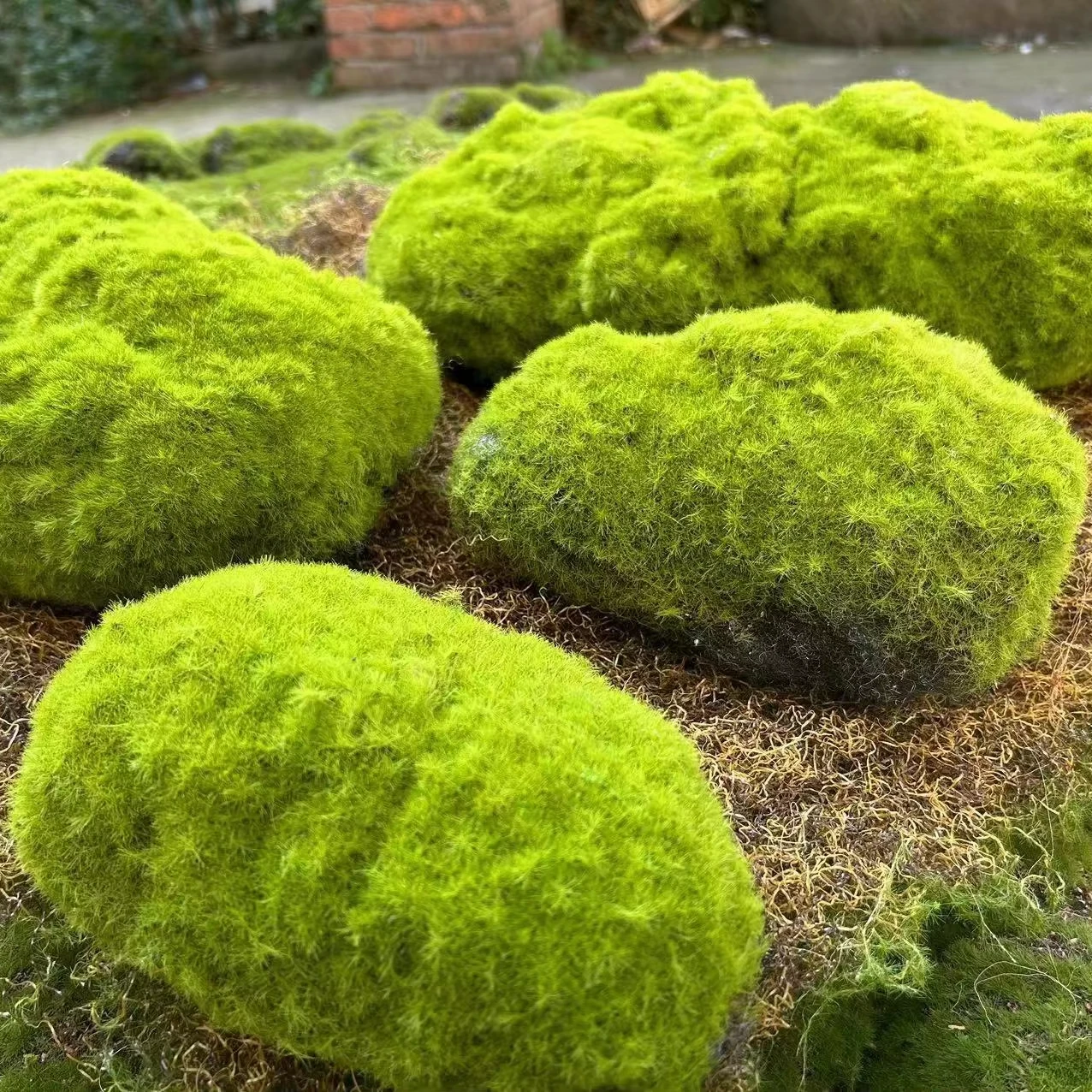 Artificial Moss Blocks bagged Simulation Plant Miniatures Green Moss Micro Landscapes DIY Wall Decorative Green Moss Ball