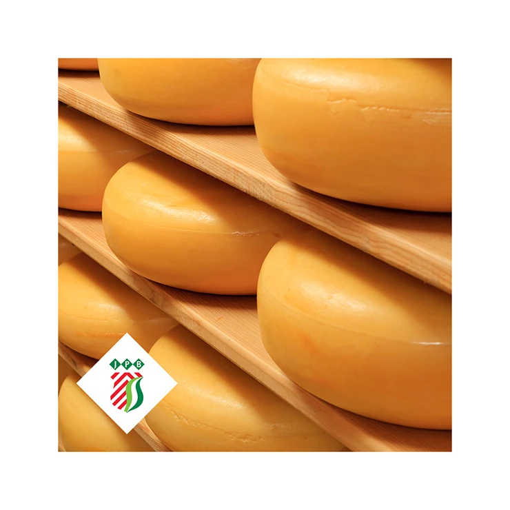 Maasdam cheese Holland The Netherlands Dutch wholesale halal premium quality