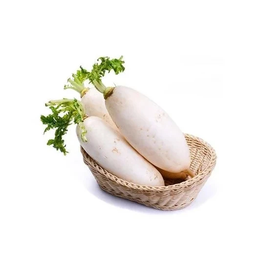 Sweet white radish bulk supply China green farm produce