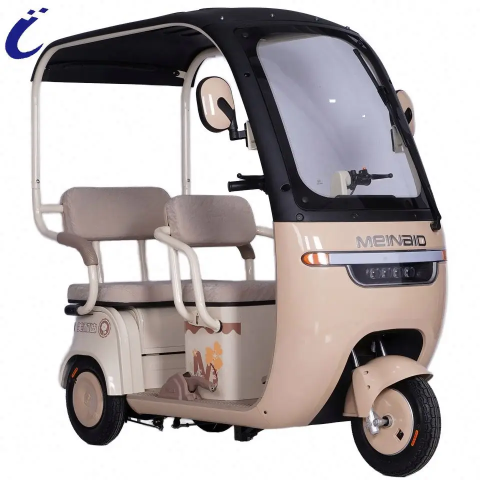 Luxury 3 Wheels Electric Tricycles Waterproof  Handle Electric Tricycle for Adult with roof