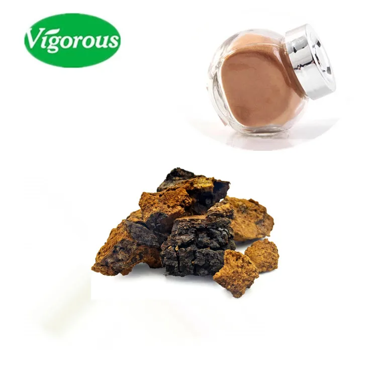 Organic Pure Natural Free Sample Chaga Mushroom Extract Inonotus obliquus 30%Polysaccharides For Healthcare Supplement