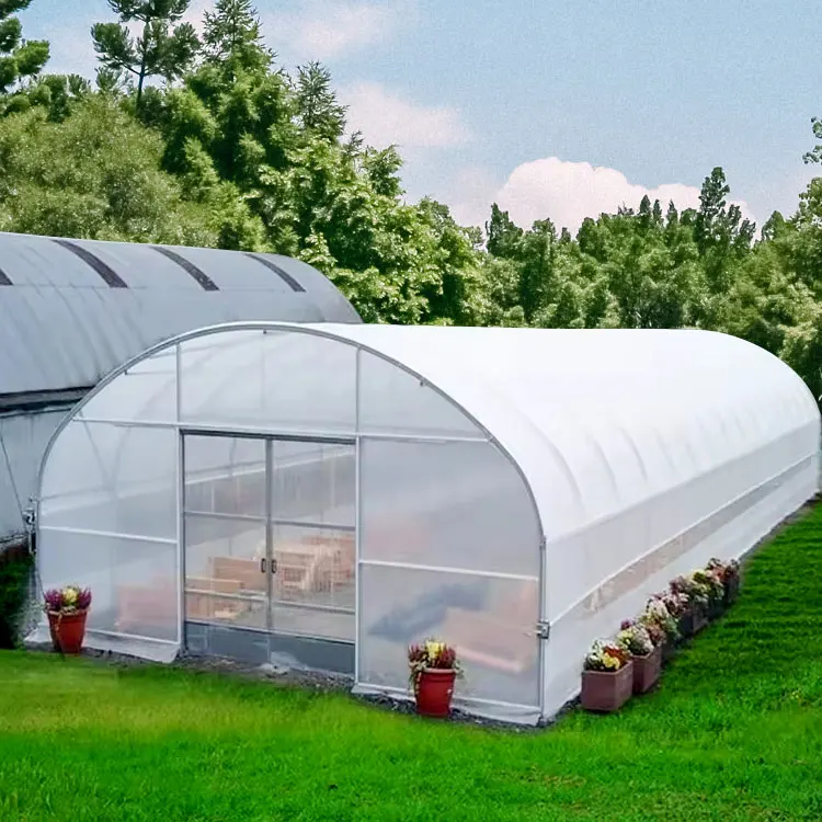 Structure Galvanized Steel Hemp Commercial Greenhouse Kits Light Deprivation Polycarbonate Greenhouse With Blackout System