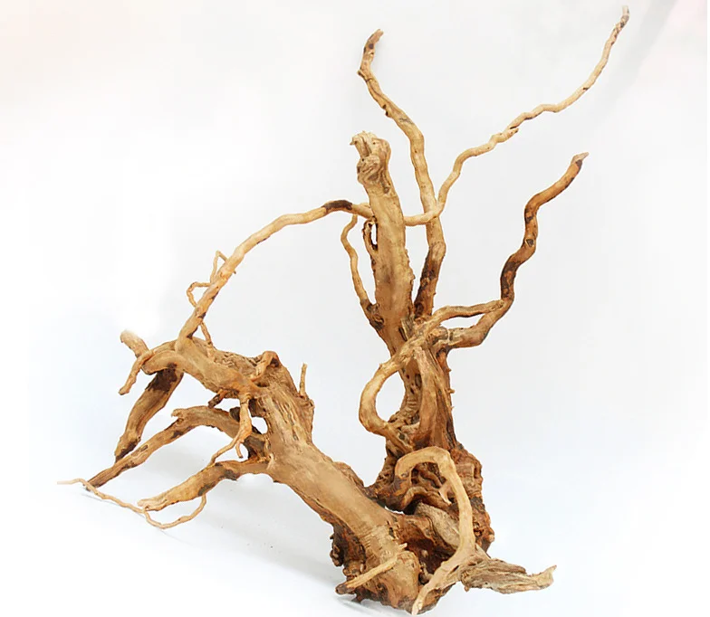 landscaping wood fish tank Moss tree roots sunken wood aquarium natural landscaping water grass glue decorations plant