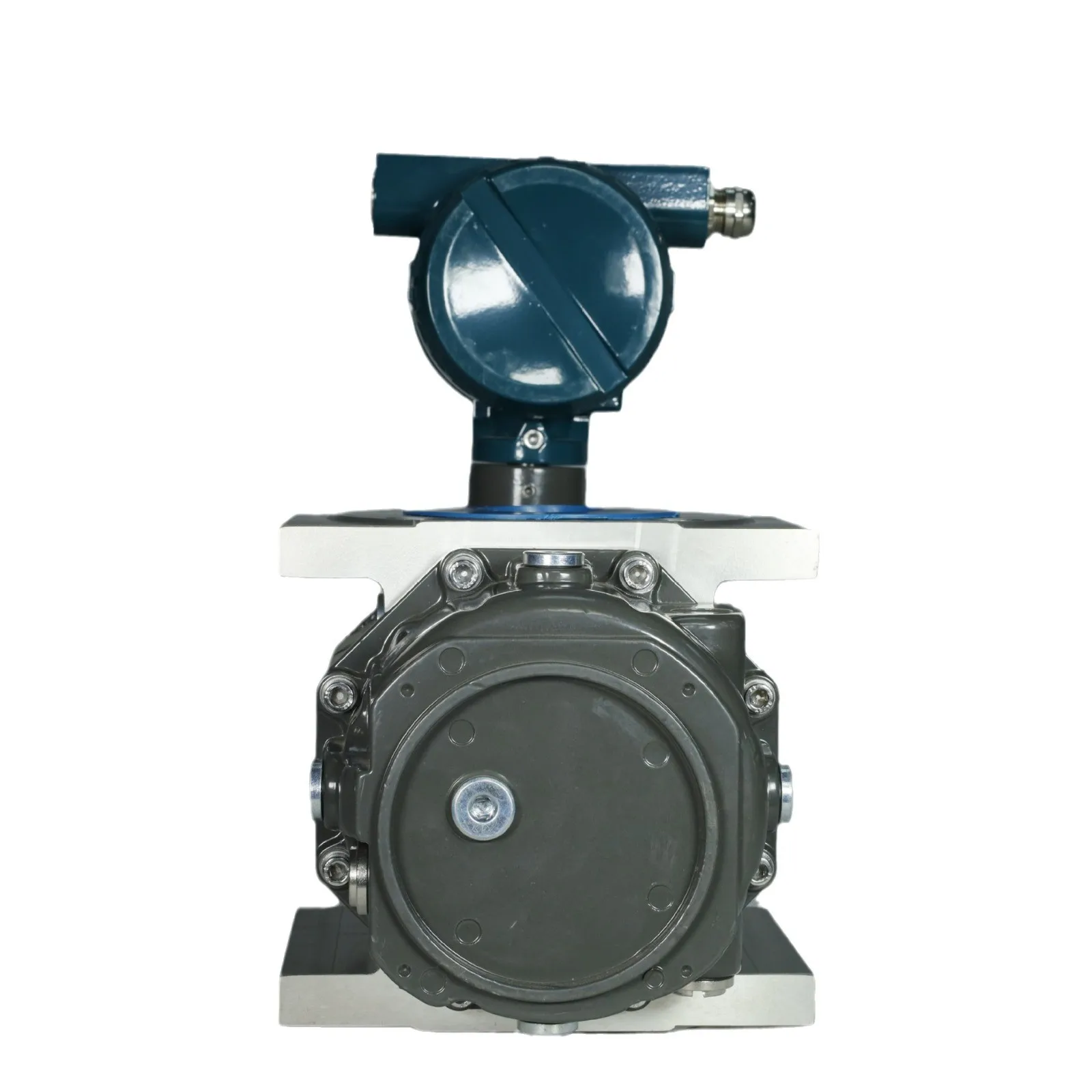 Gas waist wheel flowmeter  Natural gas Roots flowmeter