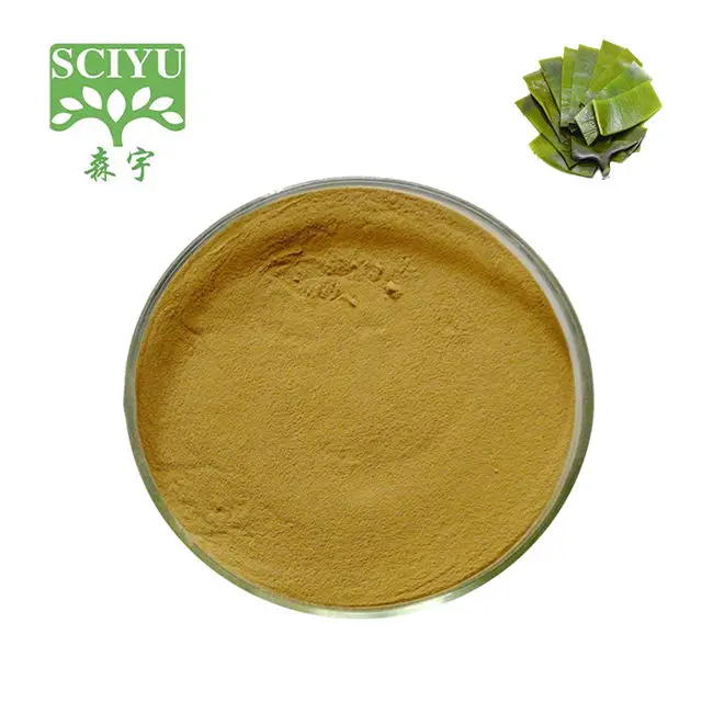 High Quality Health Products Kelp Extract Powder