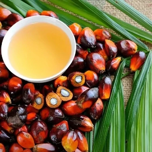 Thresher Machine of Palm Oil Mill Red Palm Oil Machine Palm Oil Processing Machine
