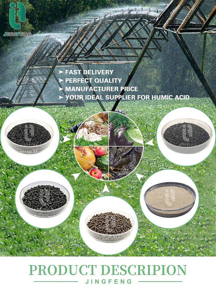 Agriculture application super potassium humate granule 98% organic soluble  98% water Soluble Potassium Humate Powder