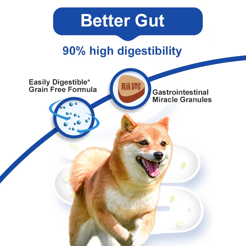 Vittide OEM/ODM Pet Food Gastrointestinal Fresh Meat Complete 4.8kg Grain Shapes Dry Food For Dog