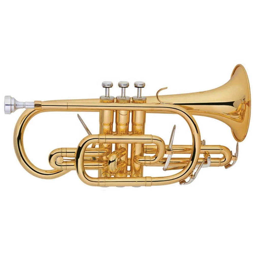 Латунный корпус золотой лак тон Bb Cornet