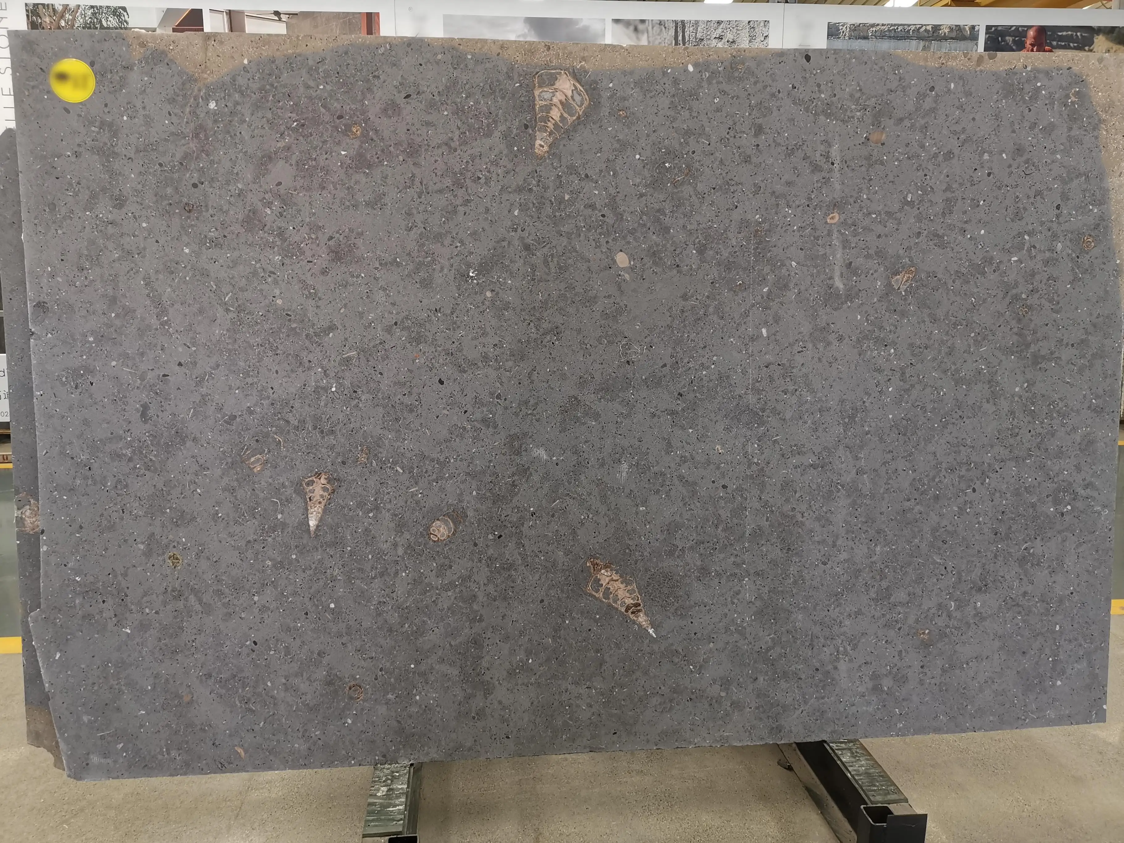 Paiastone High Quality Grey Limestone Slab Modern Design Style Brushed Tile Villa Exterior Outdoor Floor Paving Honed Split
