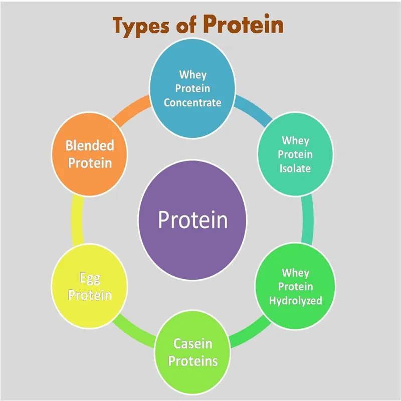 Private Logo Whey Protein Capsules Proteinas Suplementos Deportivos Whey Protein Concentrate Sports Supplements Enhance Muscle