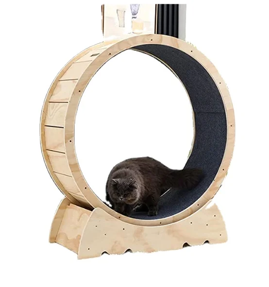 Беговая дорожка для кошек