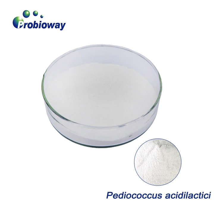 Высокая концентрация Pediococcus acidilactici HH-PA29 500bn cfu/g пробиотики оптом порошок добавки