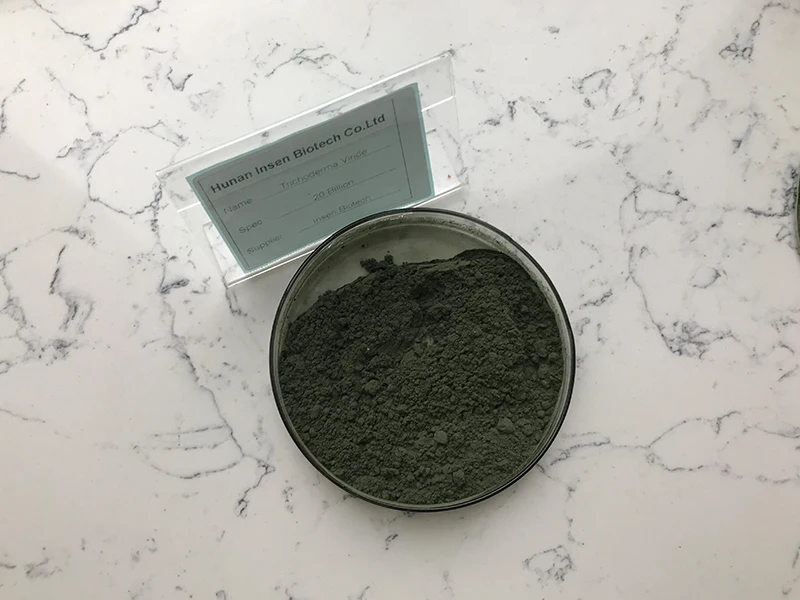  Insen поставляет порошок Trichoderma Viride