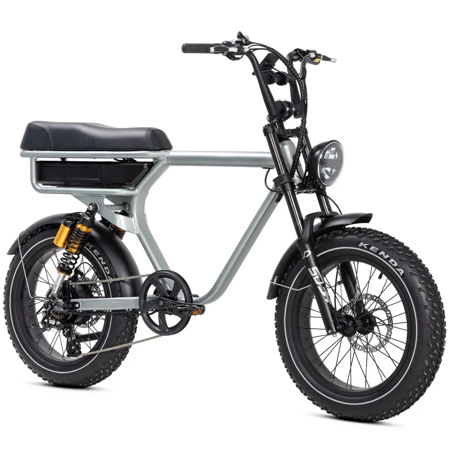 Two wheels on suspension Harle fat tire commuting electric bicycle for 2 adults