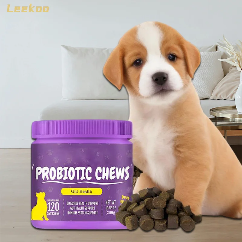 Best dog vitamins and supplements probiotic digestion vitamins supplements for dogs multi vitamins supplement