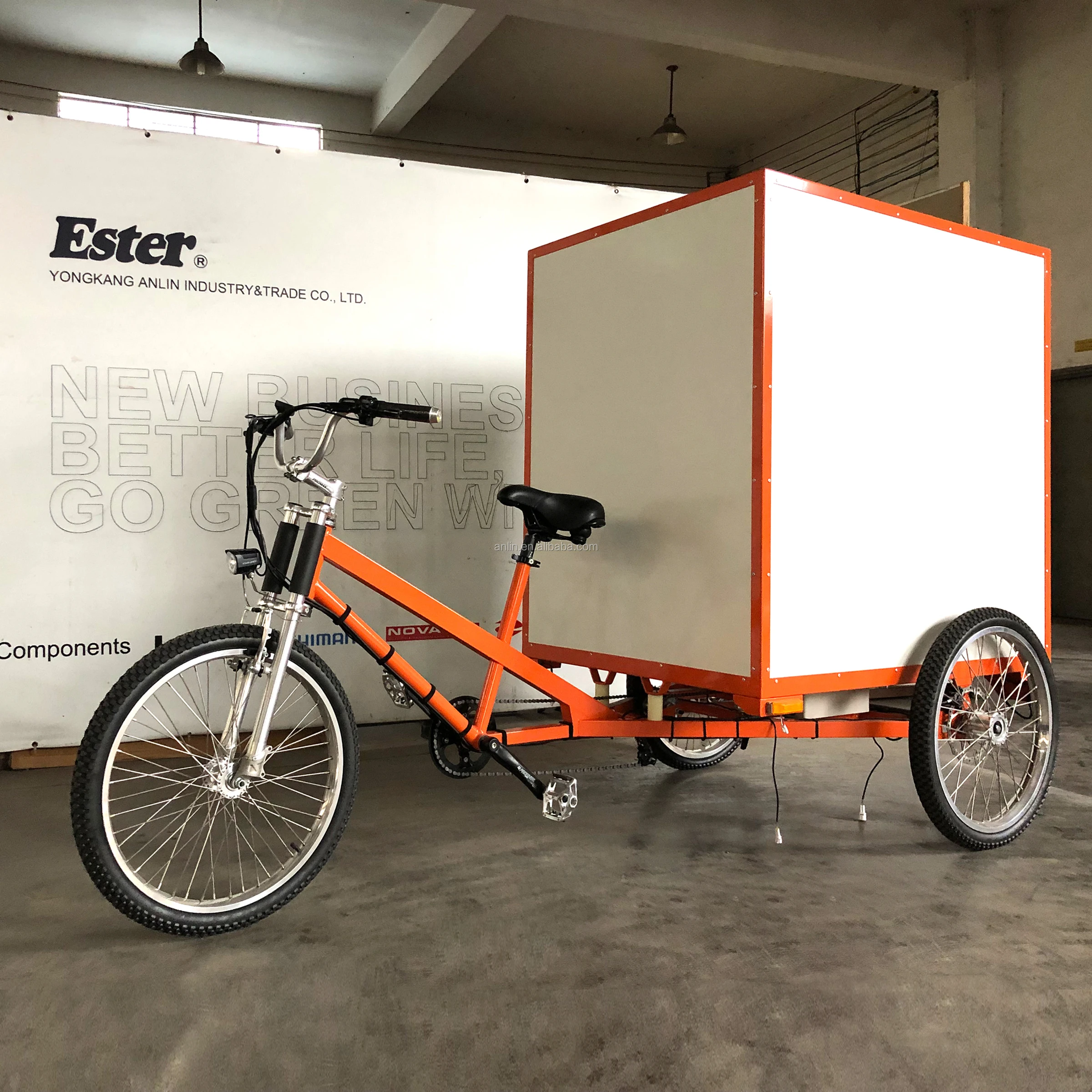 ESTER Cargo Tricycle on Sales Chinese Manufacturer Customized in 2017