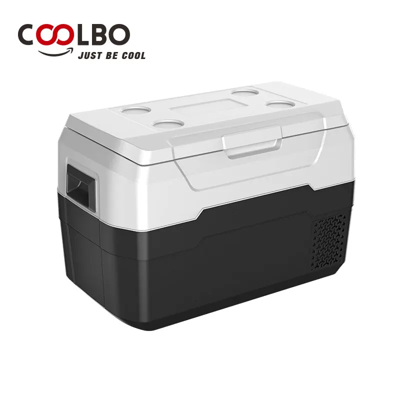 Alibaba factory wholesale sale 12/24v DC portable car cooler for EU market Electric Car Cooler