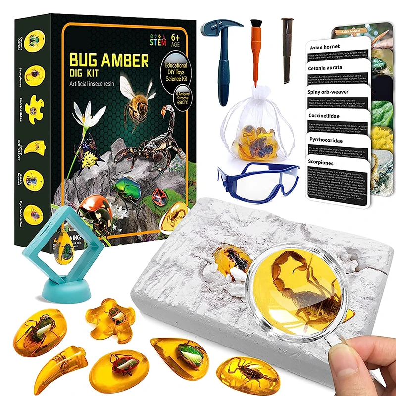 Preschool STEM Discover 6 Artificial Insects Resin Specimens Geographic Educational Science Bugs Toy Kids Bug Amber Dig Kit
