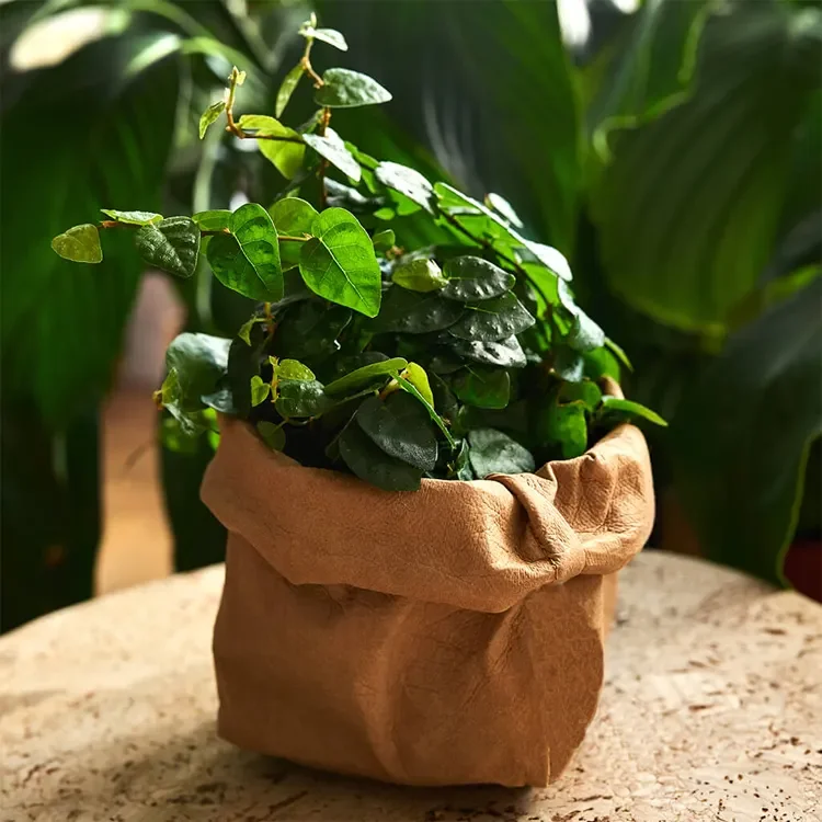 Green Field Eco friendly Washable Kraft Paper Planter Vegetable Plain Kraft Paper Bags artificial orchid flower potted