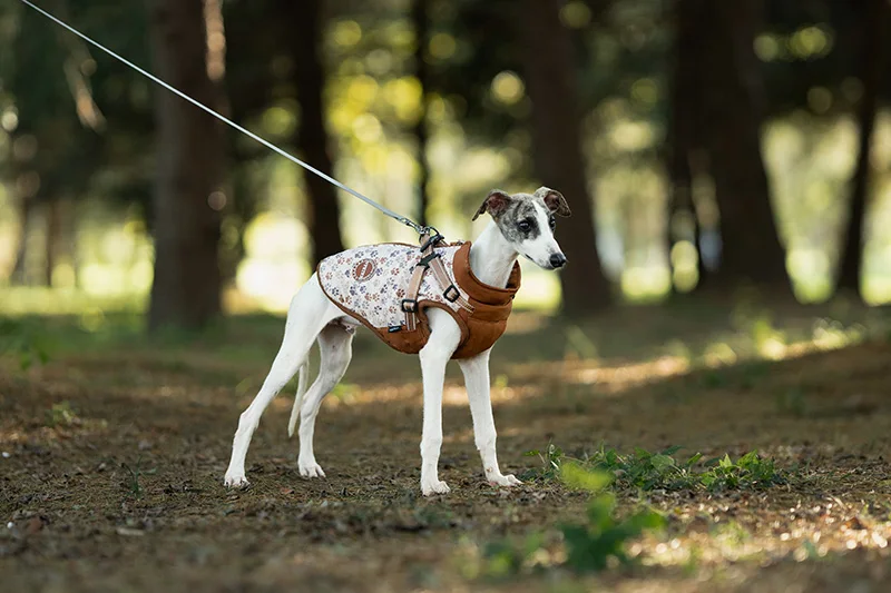 OEM/ODM Factory Manufacturer Wholesale Warm Winter Dog Clothes With Harness Pet Jacket Waterproof For Small and Big Dog