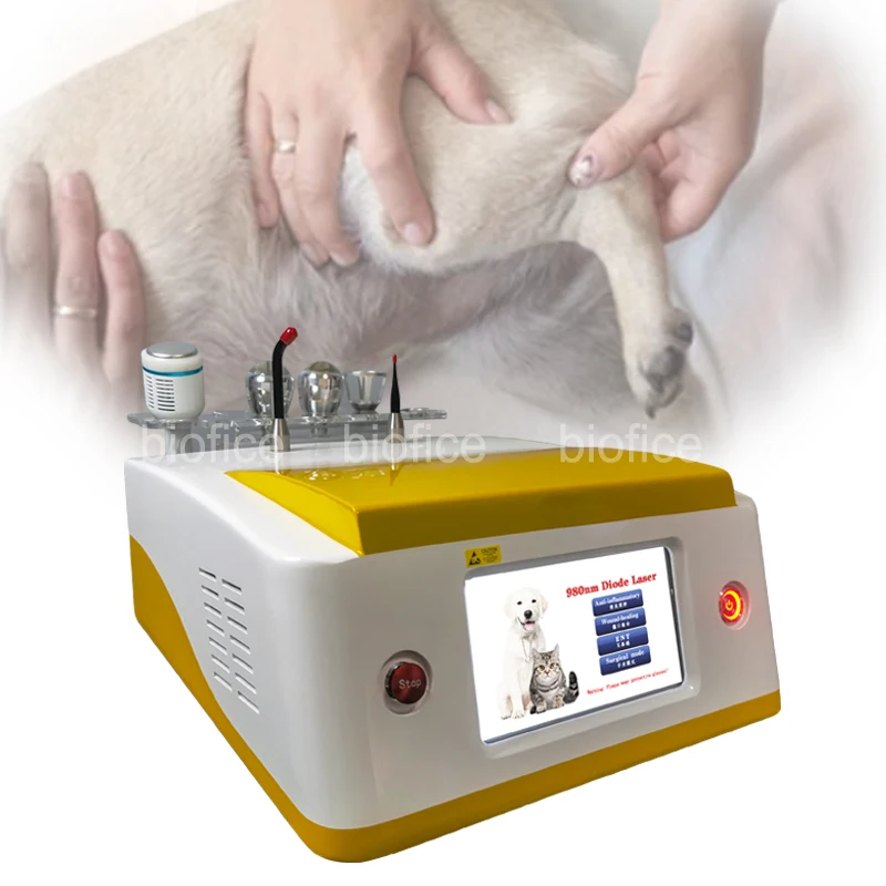 top sales professional portable veterinary equipment for animal laser therapy and animal laser treatment