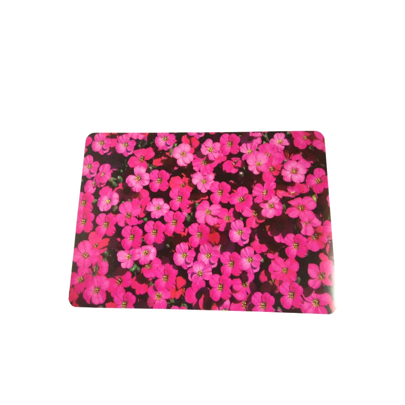 Настольные водонепроницаемые Нескользящие Изоляционные Коврики