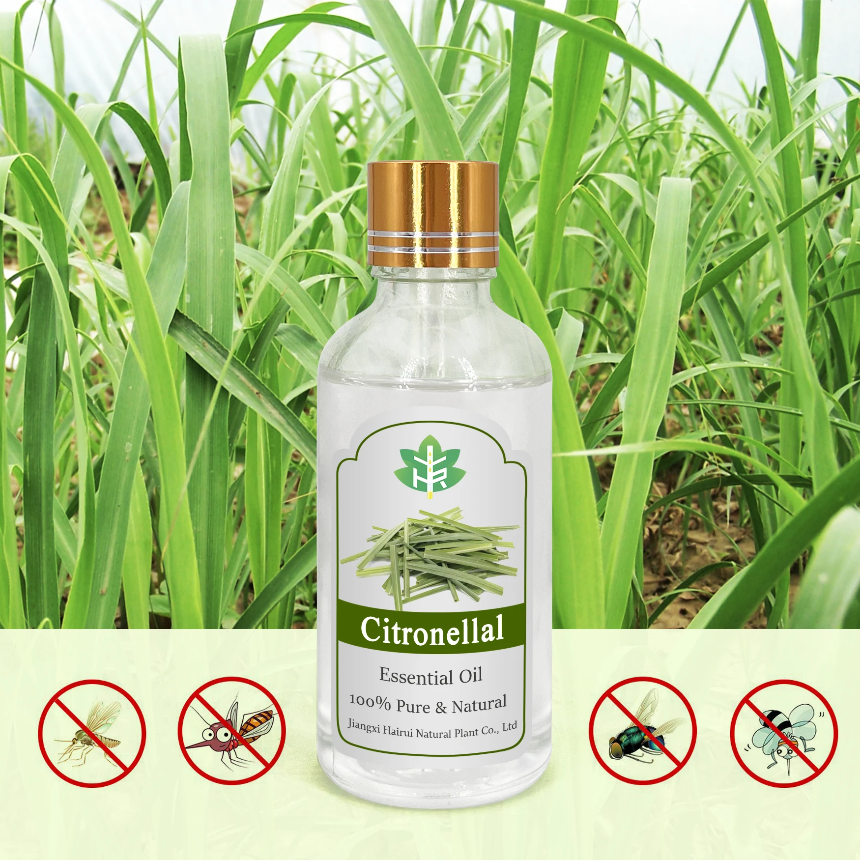 Bulk Price CAS 106-23-0 Citronellal Free Sample Pure Natural Citronellal
