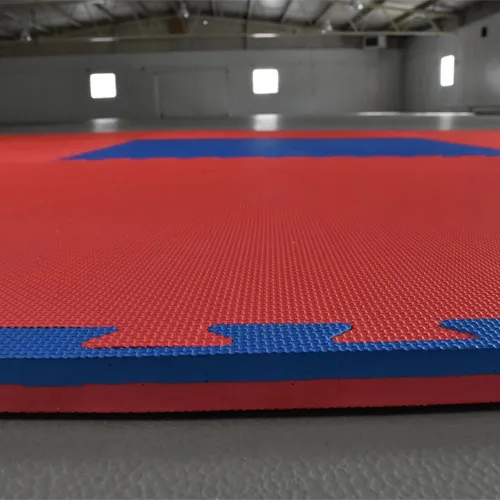 Sansd Kungfu Dojo Training Mats Kickboxing Studio Soft Foam Floor Greatmats