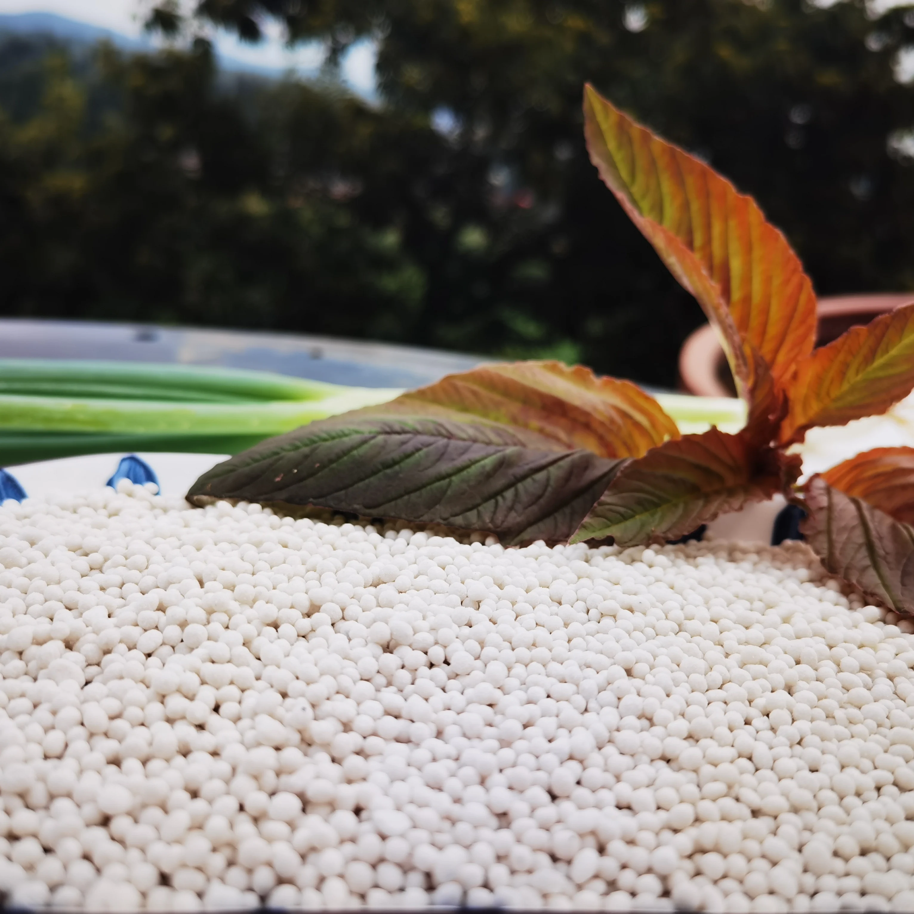 Factory Price TSP/SSP 18%-46% Triple superphosphate/Single superphosphate Agriculture Fertilizer Phosphate