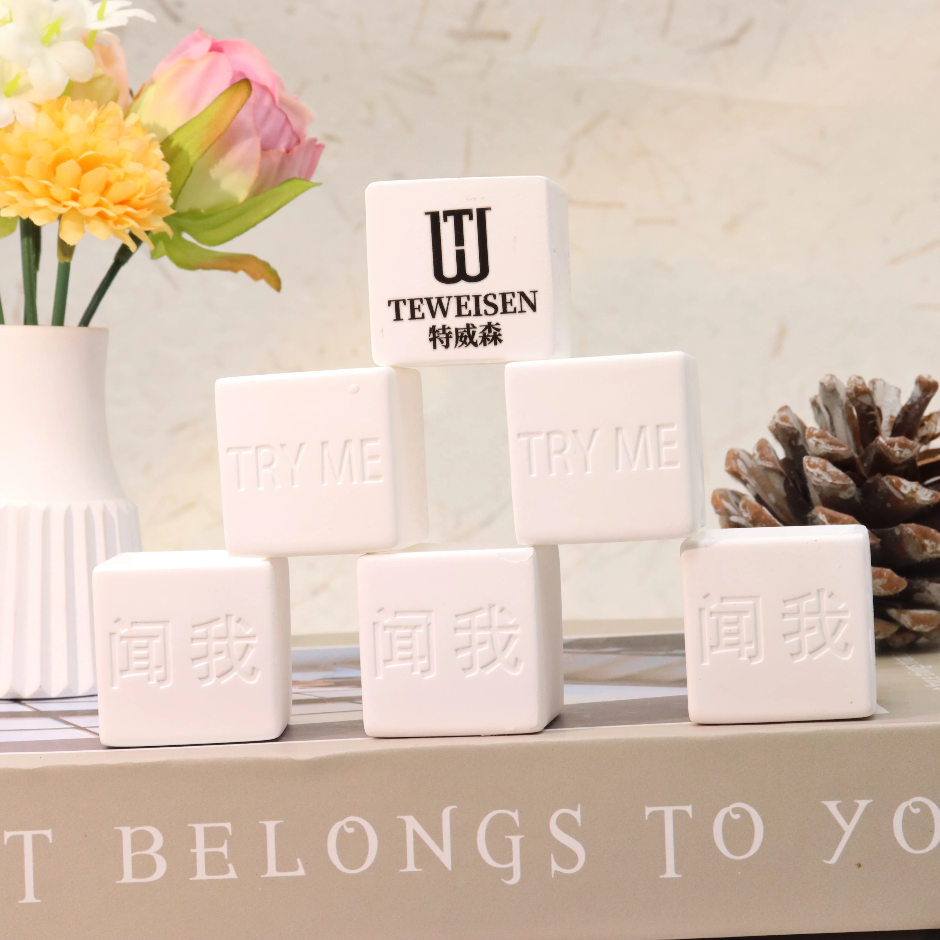 2024 Customized Logo Gypsum Block Square Perfume Test Stone Set Environmentally Friendly Air Freshener