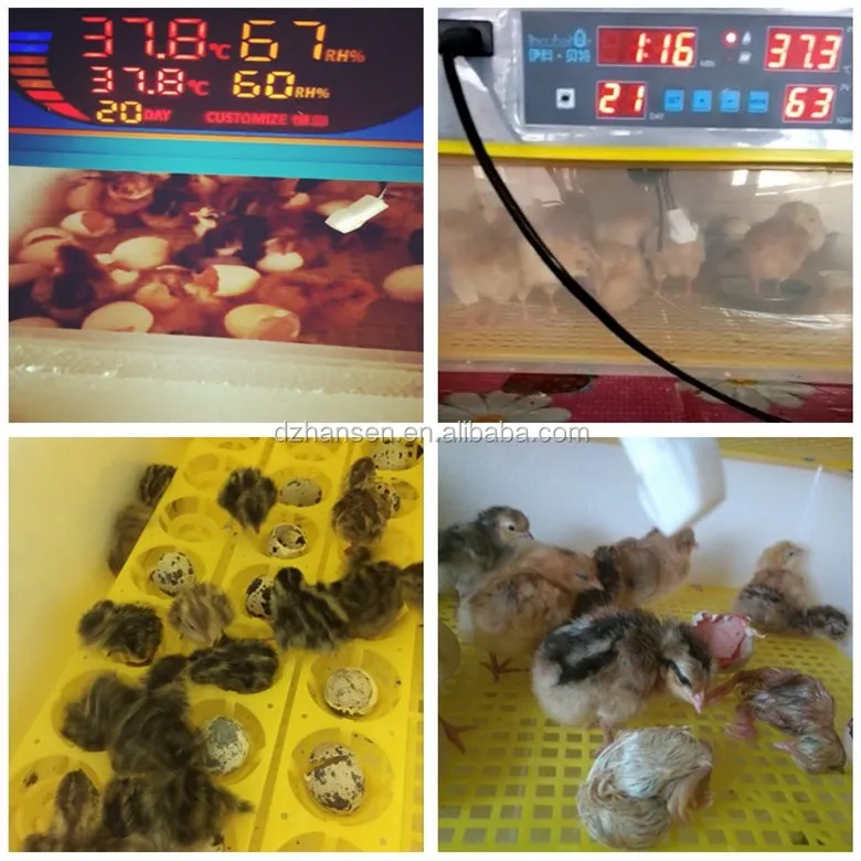 high hatching rate 112 mini egg incubator for sale home use new type chicken egg incubator hatcher machine