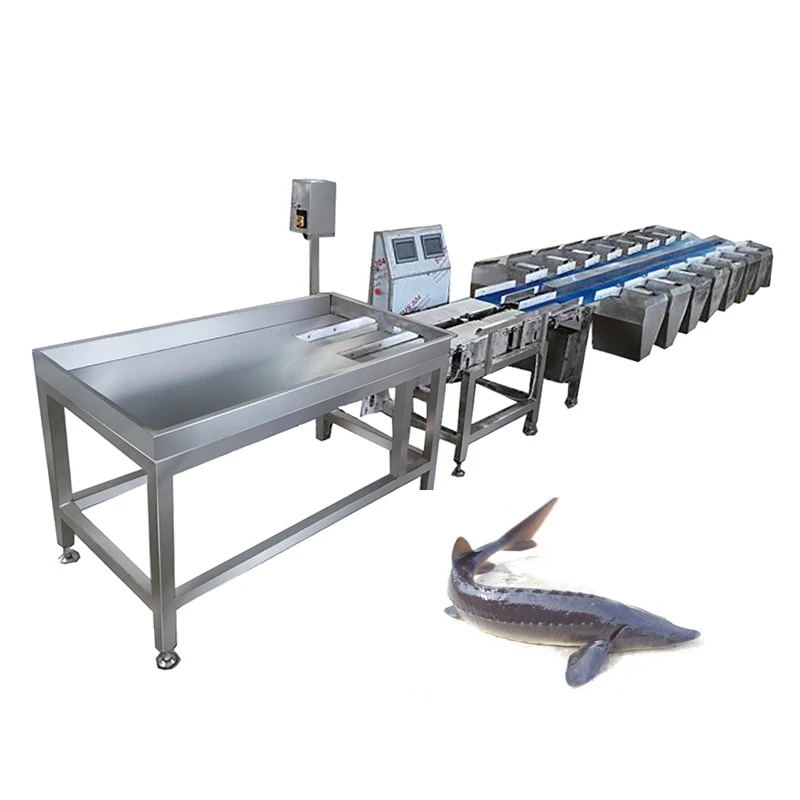 Food Grading Line Commercial Use Food Weight Sorting Machine Fish Check Weigher Machine
