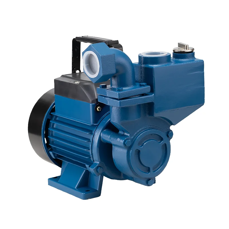 China Brand House Mini Single Phase 0.5Hp 0.75Hp 1Hp Domestic Self Priming Electric Motor Booster Water Pumps