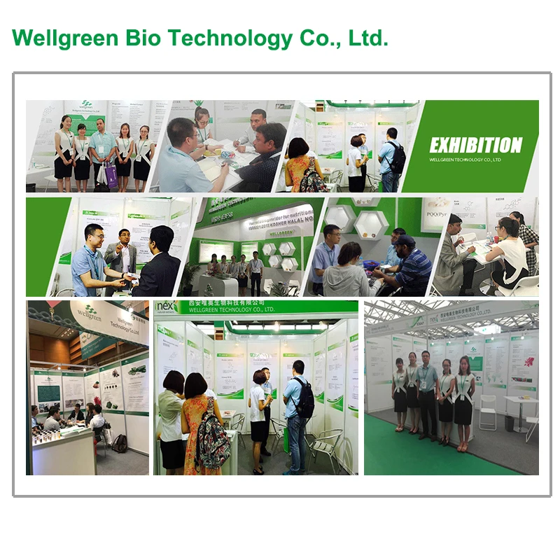 
Wellgreen Factory Price Cosmetic Grade 99% Glycolic Acid for Skin Care 