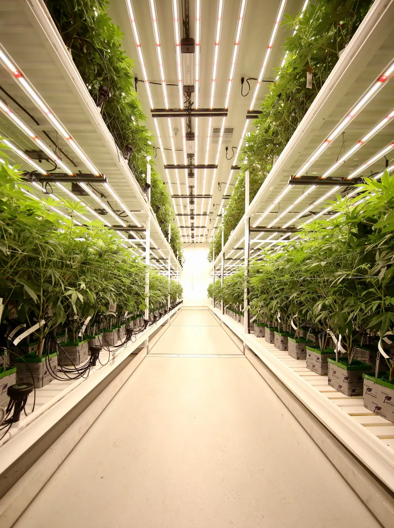 Irrigation Hydroponics Equipment Indoor Growing Rack Systems