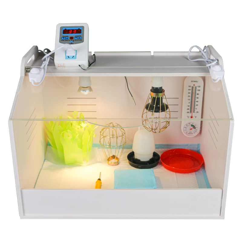 Chicks Squab Nestling Fledgling Breeding Box Brooder for Sale