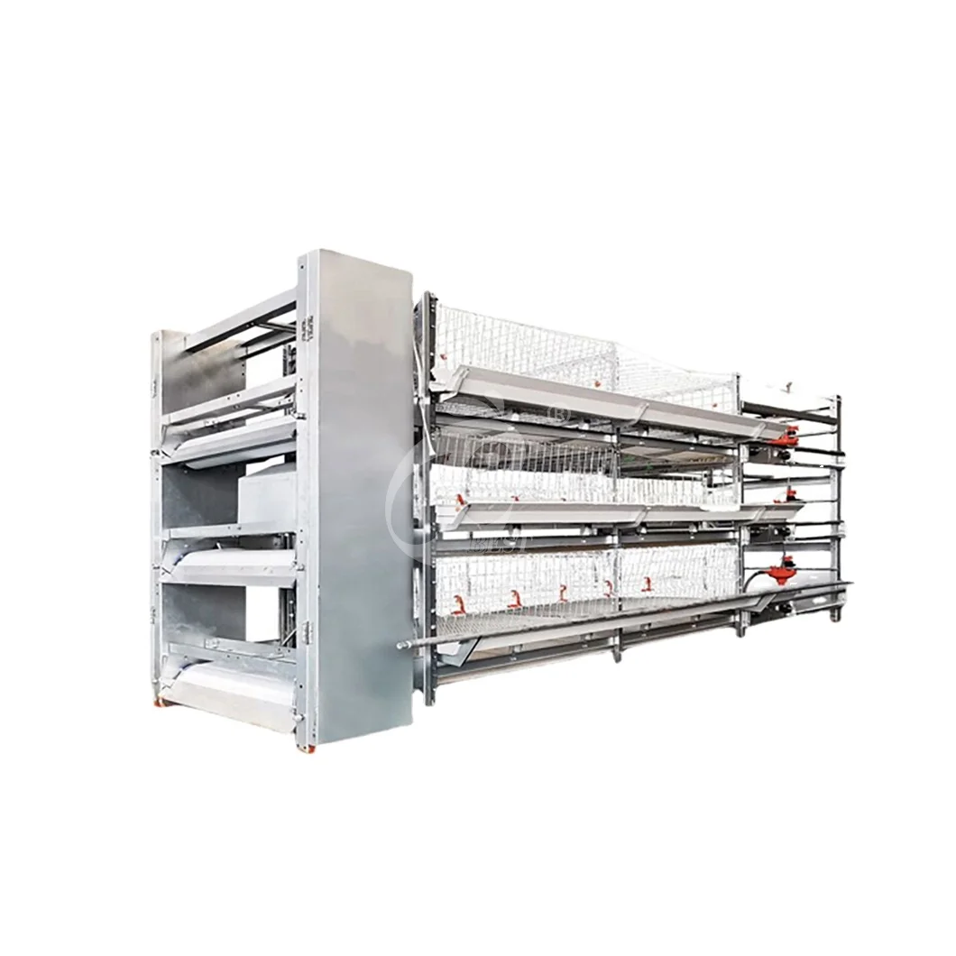 China Cheap Chicken Coops H Frame Automatic Boriler Cages Supplier Custom Clean And Hygienic Broiler House