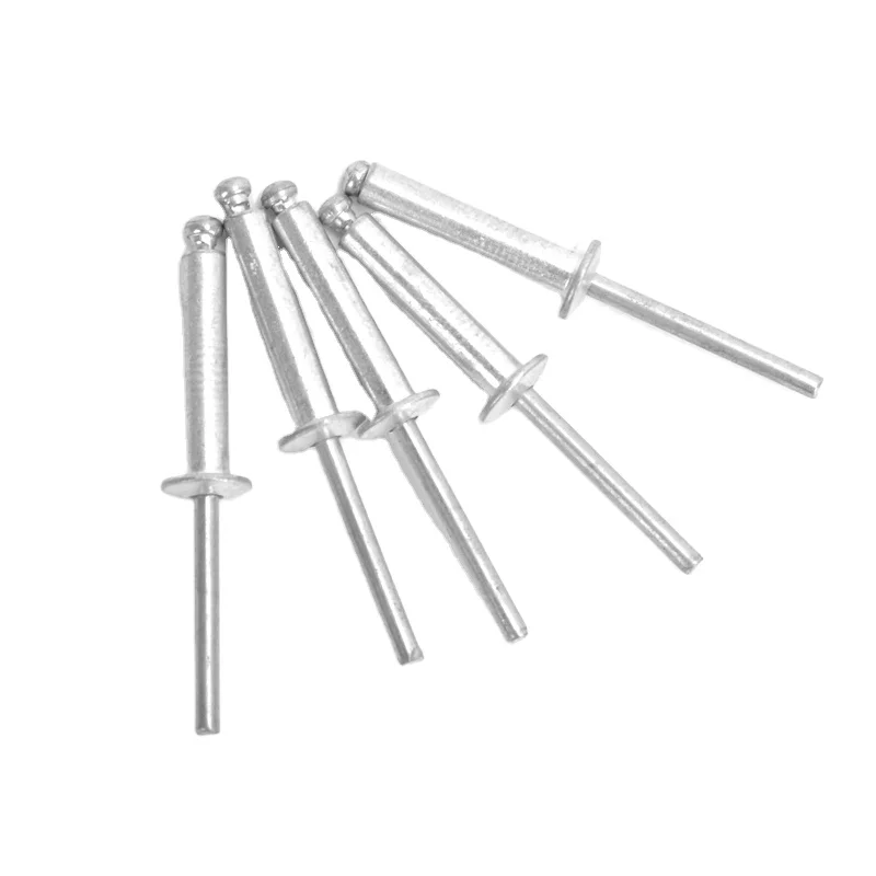 High Quality round Head Drive Rivet Galvanized Steel Aluminium Brass Plastic Copper Fastener with Flower Design DIN Standard