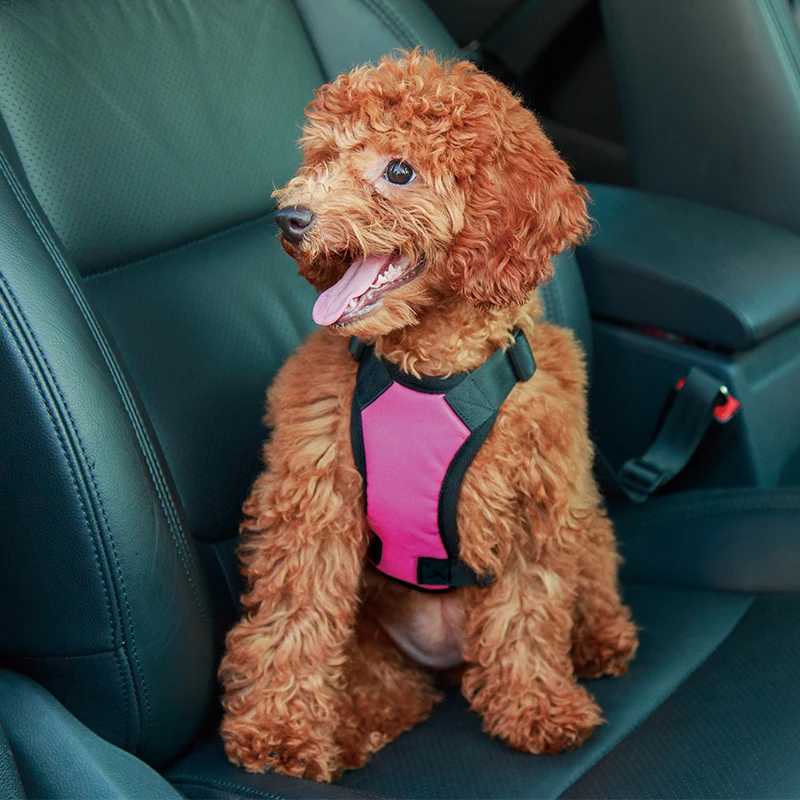 Adjustable ecofriendly wholesale custom logo comfort soft nylon padded pet chest strap car seat safety small dog harness