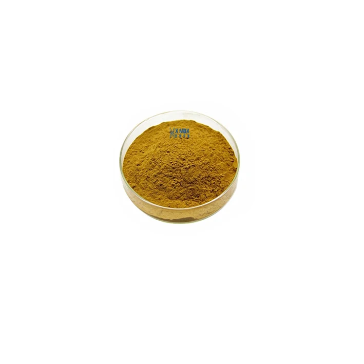 
100% Natural Siberian Cocklebur Fruit Extract Xanthium Sibiricum Extract 