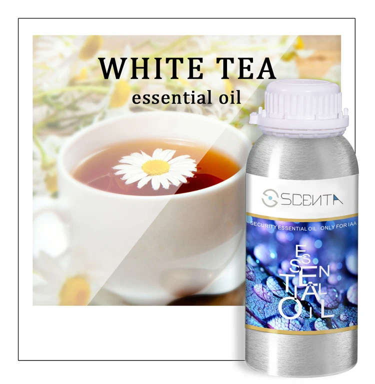 SCENTA Private Label White Tea Plant Therapy 100% Natural Pure Bulk Concentrated Aroma Organic Essential Oil