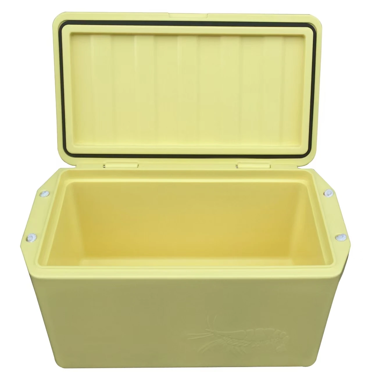121L Insulated Refrigerator for Camping Food Preservation for Fishing and Outdoor Adventures