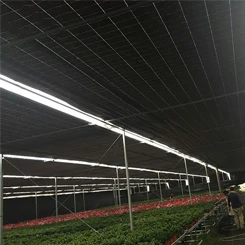 Blackout Single-span Greenhouse 100% Light Deprivation.