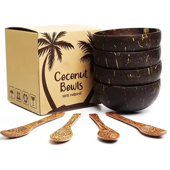 Fancy Coconut Bowl Gift Set Ready Ship Wholesale Mini Smoothie Salad Vegan Soup Organic Natural Coconut Shell Bowl with Spoon