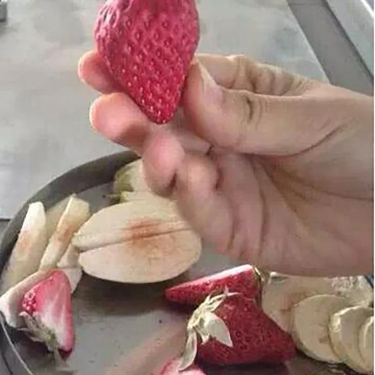 CE 60C Degree 6Kg Vial Rubber Stopper Sealing Lyophilization Freeze Dryer