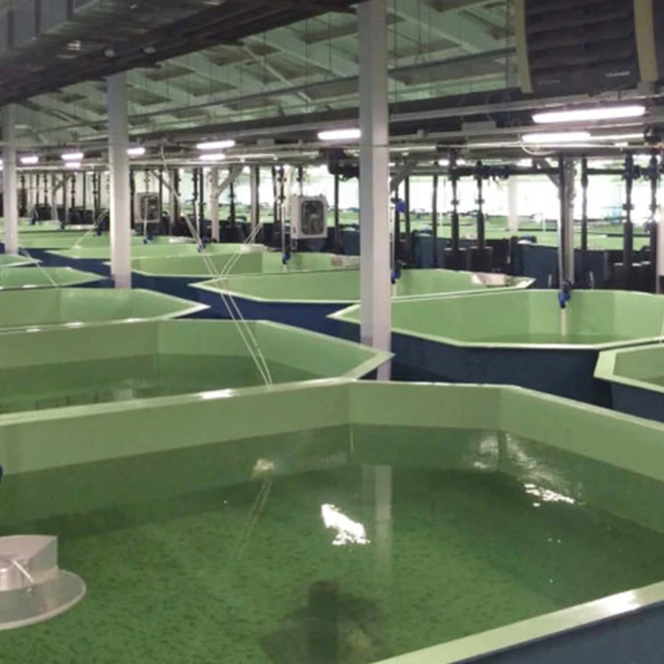 Оборудование для рыбоводства система аквакультуры оборудование креветок и сельского