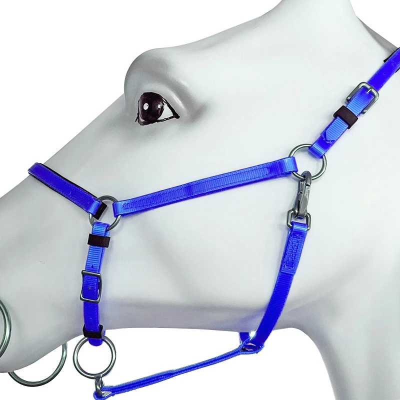 Waterproof adjustable outdoor equestrian horse products multicolor TPU material horse riding halters wholesale